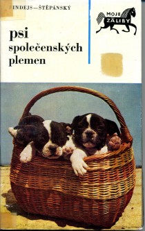 Psi společenských plemen