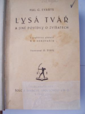 Lysá tvář