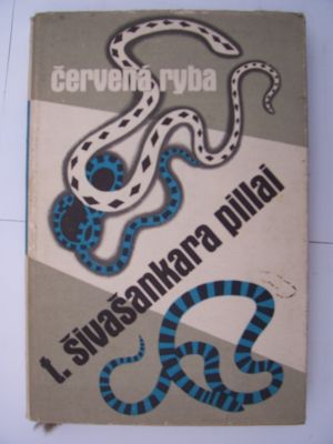 Červená ryba