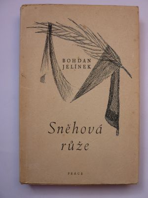 Sněhová růže