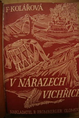 V nárazech vichřice