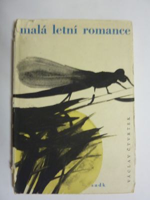 Malá letní romance