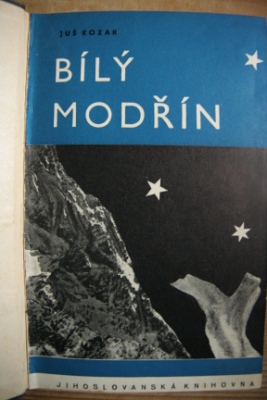 Bílý modřín