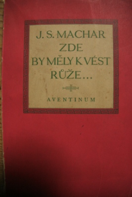 Zde by měly kvést růže...