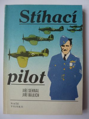 Stíhací pilot