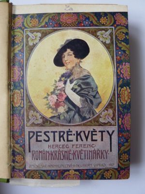 Román krásné květinářky