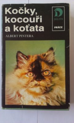 Kočky, kocouři a koťata
