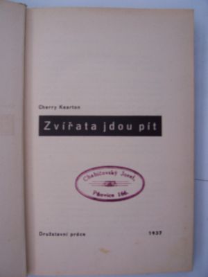 Zvířata jdou pít