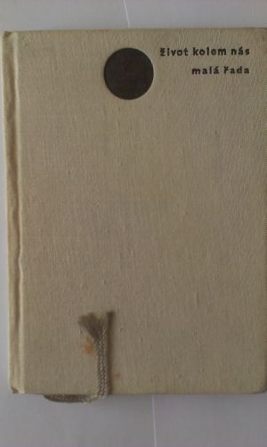 Milenci na jednu noc