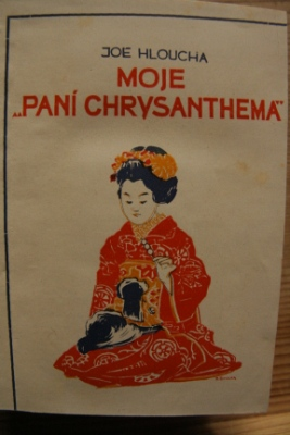 Moje "paní chrysanthema"