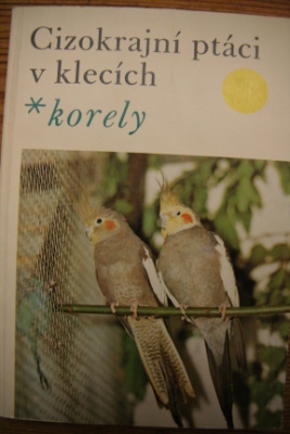 Korely