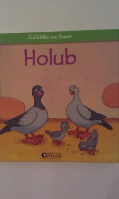 Holub
