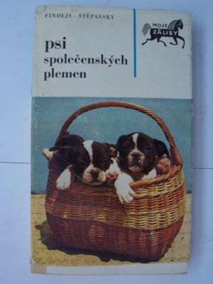 Psi společenských plemen