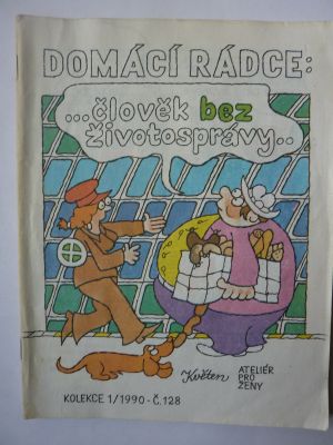 Domácí rádce