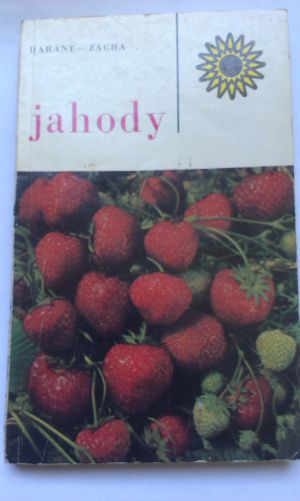 Jahody