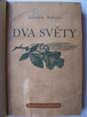 Dva světy