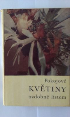 Pokojové květiny ozdobné listem