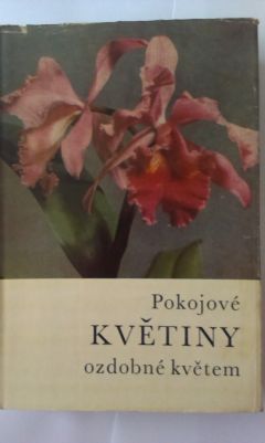 Pokojové květiny ozdobné květem