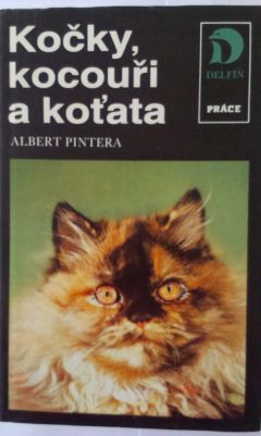 Kočky, kocouři, koťata