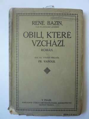 Obilí, které vzchází