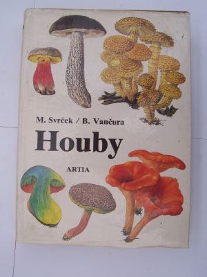 Houby