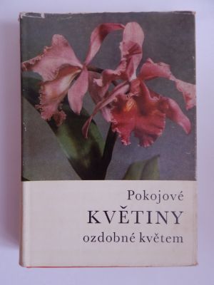 Pokojové květiny ozdobné květem