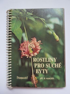 Rostliny pro suché byty