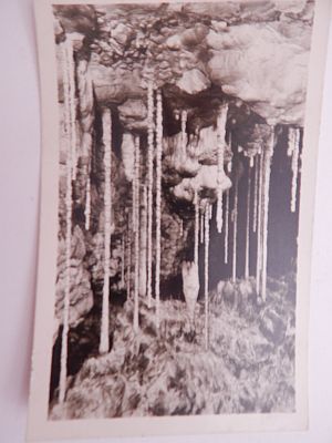 Moravský Kras- Kateřinská jeskyně, Stalagmitový lesík