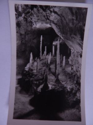 Sloupsko-šošůvské jeskyně
