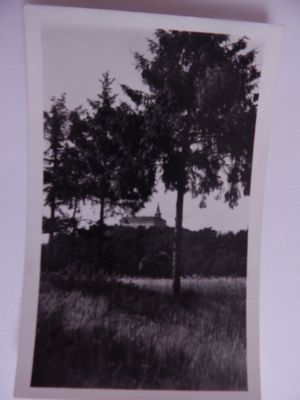 Nepomuk-zámek
