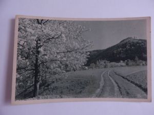 Potštejn