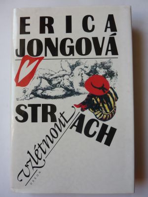 Strach vzlétnout