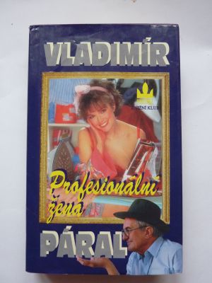Profesionální žena