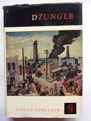 Džungle