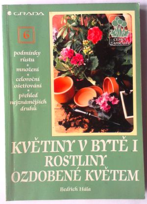 Květiny v bytě I