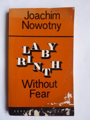 Labyrinth Without Fear