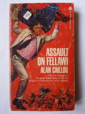 Assault on Fellawi