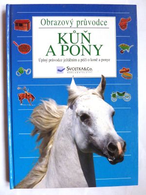 Kůň a pony