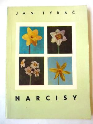 Narcisy