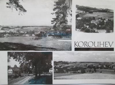 Korouhev