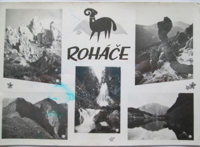 Roháče