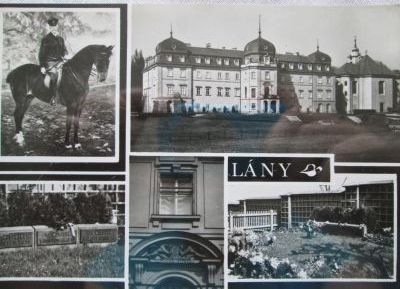 Lány
