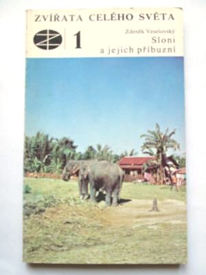 Sloni a jejich příbuzní