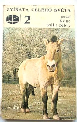 Koně osli a zebry