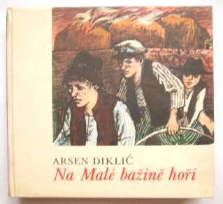 Na Malé bažině hoří