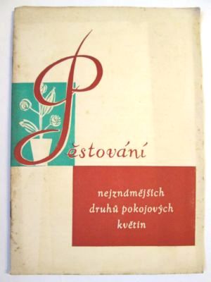 Pěstování nejznámějších druhů pokojových květin