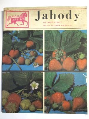 Jahody