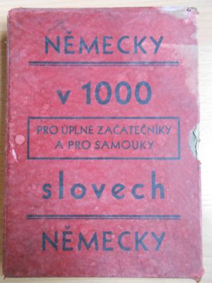 Německy v 1000 slovech