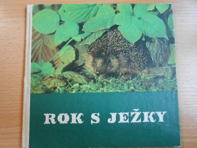 Rok s ježky
