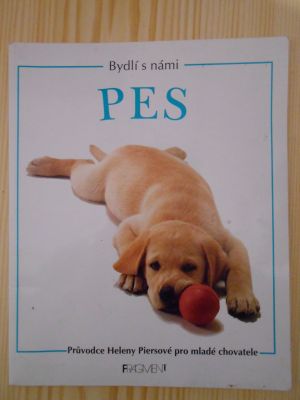 Bydlí s námi pes